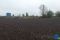 image (2)