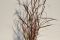 Miskant-Purple-Fall-czerwony-jesienia-DUZY-3-Litry_[202058]_250