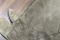 1 (2)