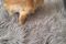 WhatsApp Image 2020-09-05 at 14.12.03 (1)