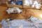SAM_0227