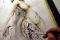 Tattoo 9