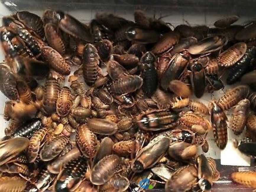 inbound3491141712116503253