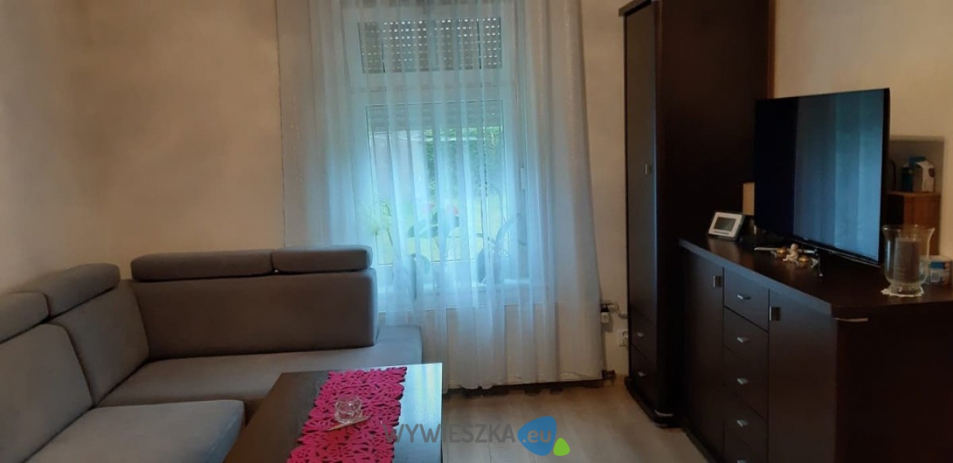 117177519_905849023234942_1006645360151414814_n