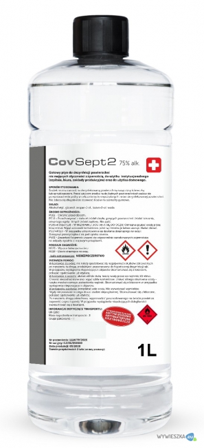 Wizualizacja 1L CovSept2