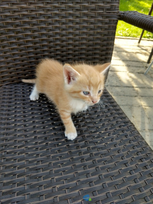 IMG_20200810_172401942_HDR