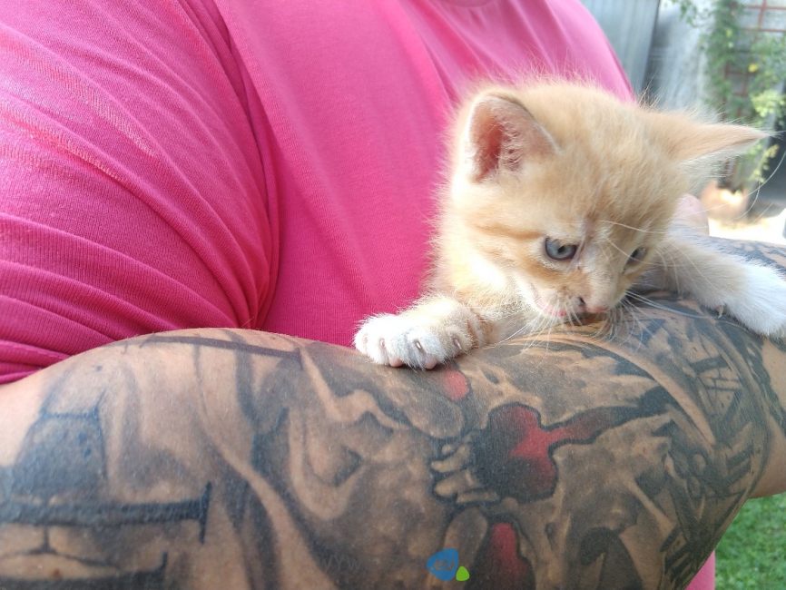 IMG_20200810_172630564