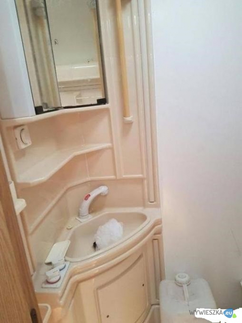 7f39c5_przyczepa-kempingowa-zdjecia