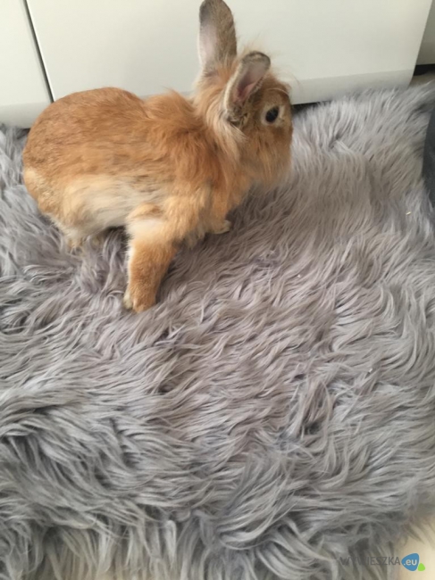 WhatsApp Image 2020-09-05 at 14.12.03 (1)