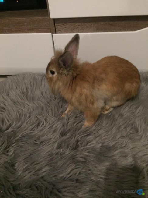 WhatsApp Image 2020-09-14 at 14.25.55 (1)