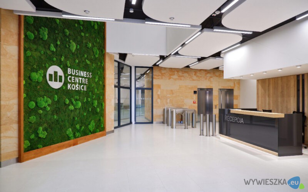 płyty do recepcji biura